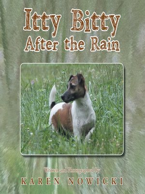 cover image of Itty Bitty After the Rain